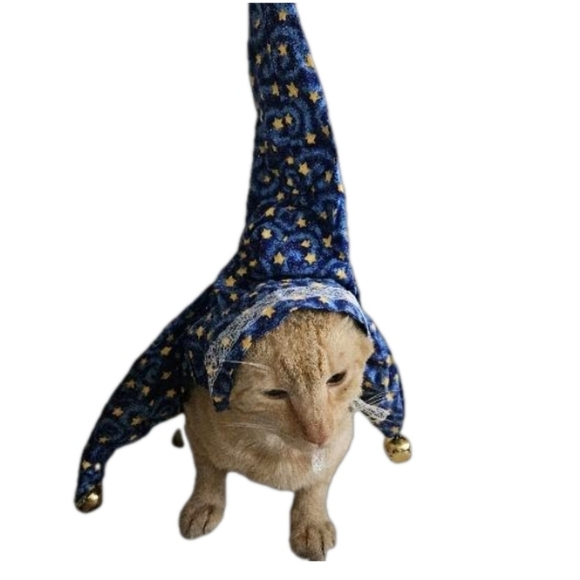 Hand Crafted Pet Witch Hat Funny Halloween Costume Cats Dogs Handmade Festive XL - Picture 5 of 17